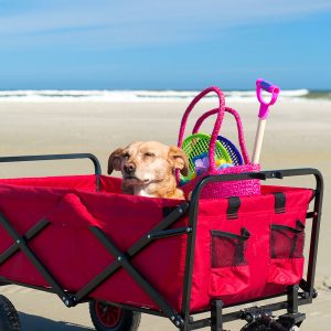 Best Beach Cart