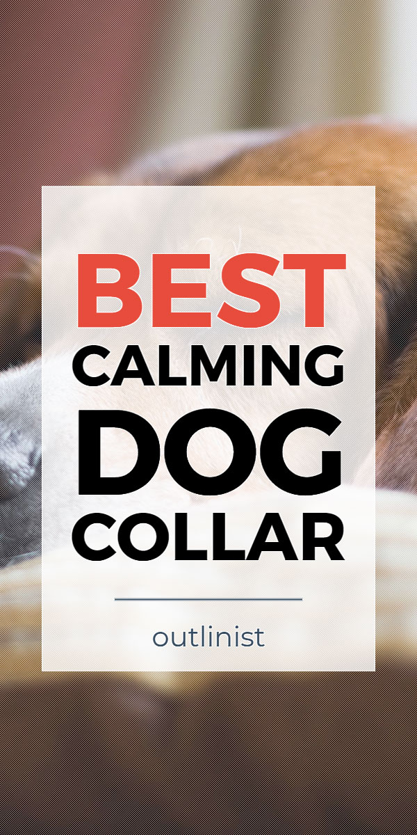 Best Calming Dog Collar • Reviews & Buying Guide