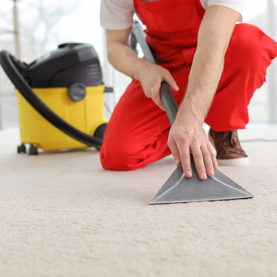 Best Carpet Cleaner • Reviews & Buying Guide