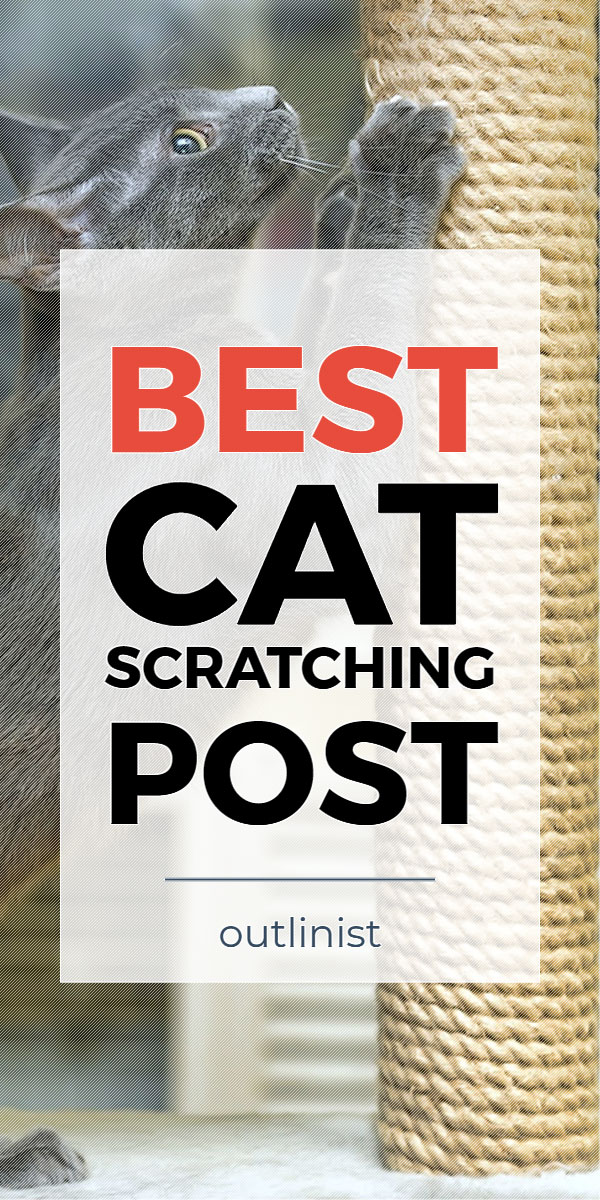 Best Cat Scratching Post • Reviews & Buying Guide