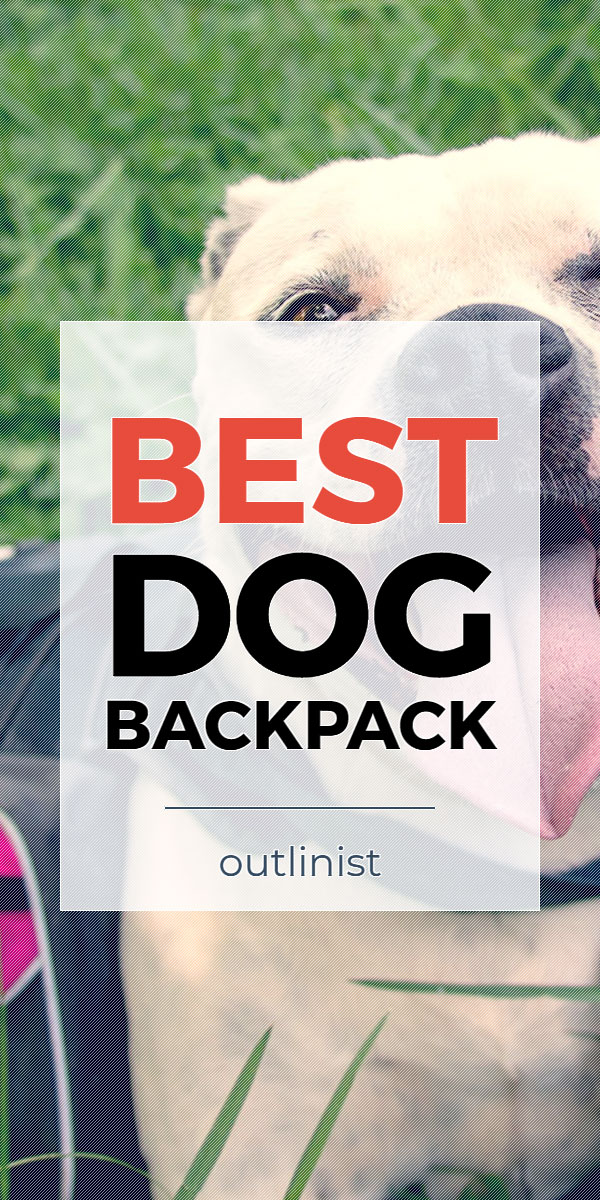 Best Dog Backpack • Reviews & Buying Guide