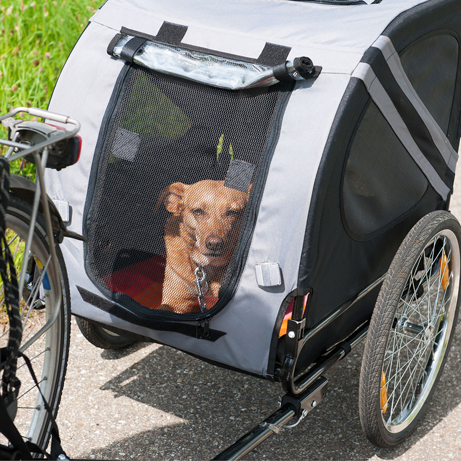 Best Dog Bike Trailer • Reviews & Buying Guide