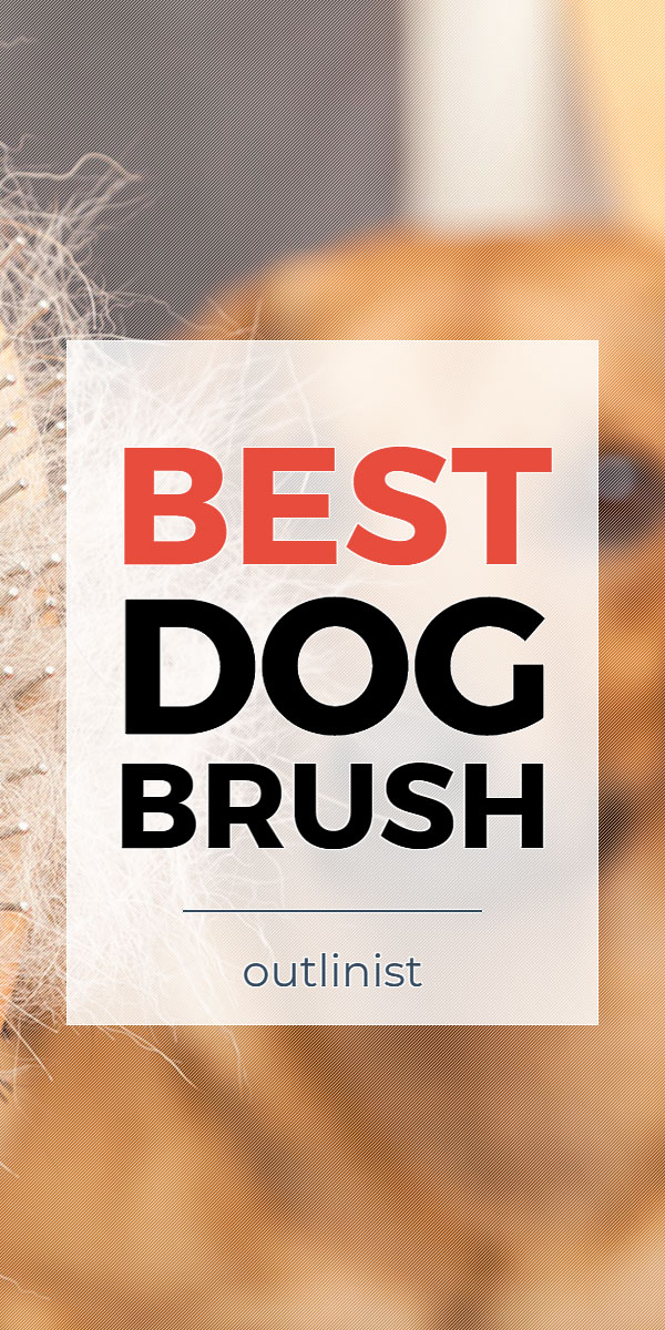 Best Dog Brush • Reviews & Buying Guide