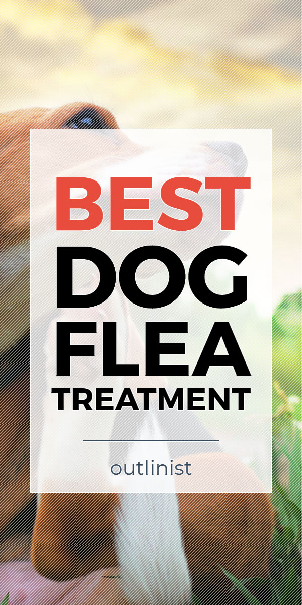 Best Dog Flea Treatment • Reviews & Buying Guide