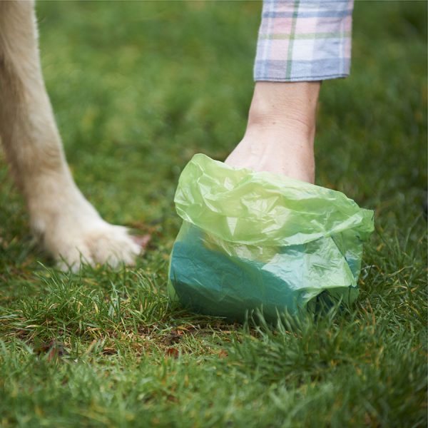 Best Dog Poop Bags