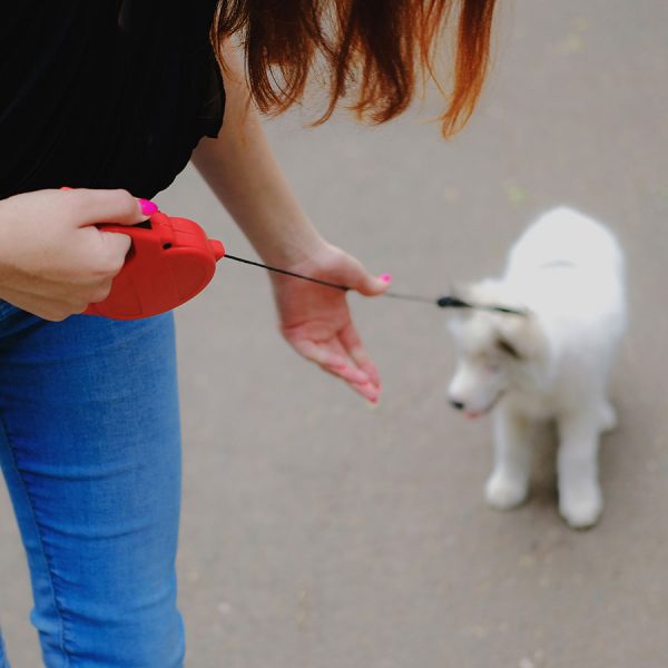 Best Dog Retractable Leash