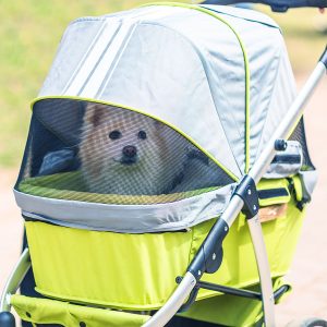 Best Dog Stroller