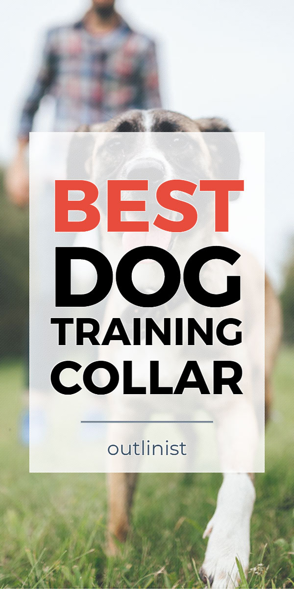 Best Dog Training Collar • Reviews & Buying Guide