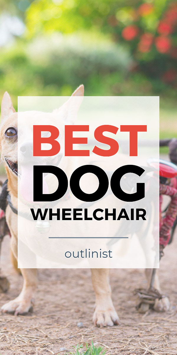 Best Dog Wheelchair • Reviews & Buying Guide