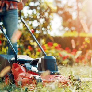 Best Electric Lawn Mower