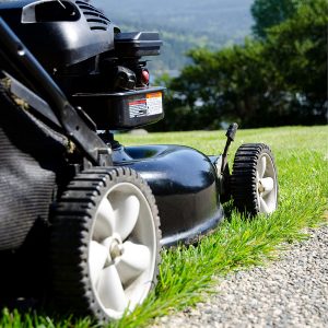 Best Gas Lawn Mower