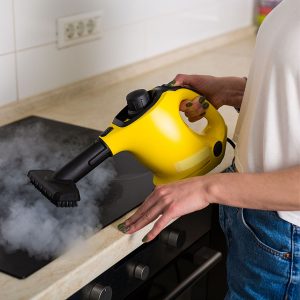 Best Handheld Steam Cleaner