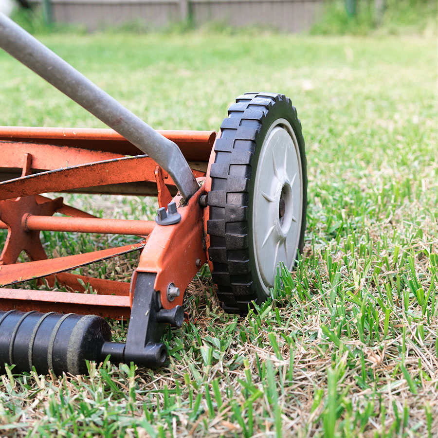 Best Reel Mower • Reviews & Buying Guide