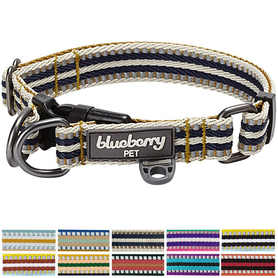 Blueberry Pet Multi-Colored Stripe Dog Collar