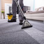 Carpet Cleaner vs Vacuum Cleaner: Different Job, Different Tool