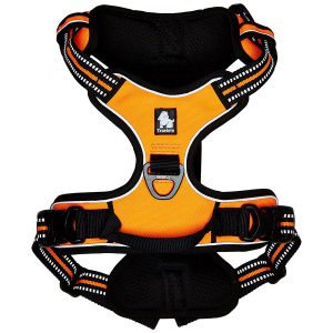 Chai’s Choice Best Outdoor Adventure Dog Harness