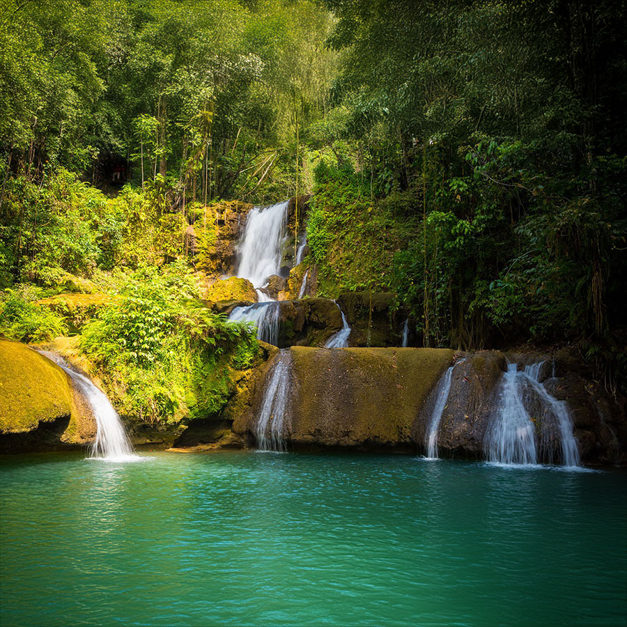 Christmas in Jamaica