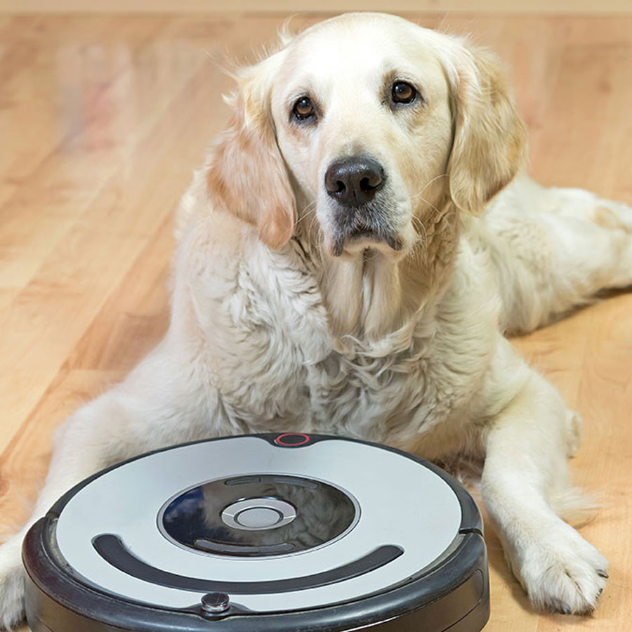 Do Robot Vacuums Work for Dog Hair?