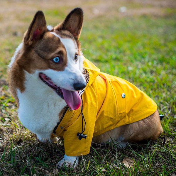 Ellie Dog Wear Yellow Zip Up Dog Raincoat