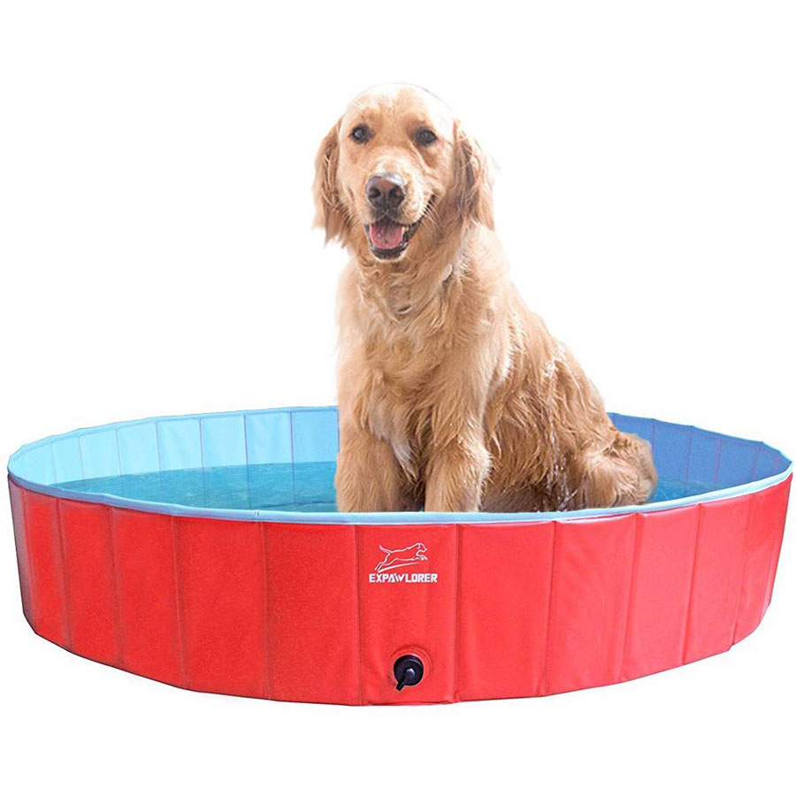 Expawlorer Foldable Dog Pool