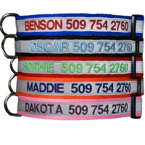 GoTags Custom Embroidered Safety Basic Dog Collar