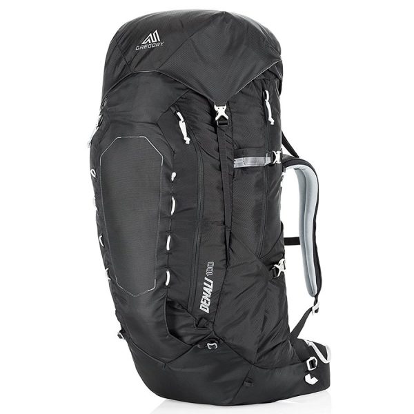 Gregory Denali Travel Backpack