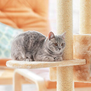 How Long Does Cat Tree Last