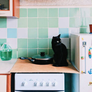 How To Stop Cat From Jumping On Counter?