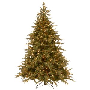 National Tree Frasier 1000 LED Lights Tree