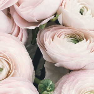 21 Best Flowers For a Beautiful November Wedding