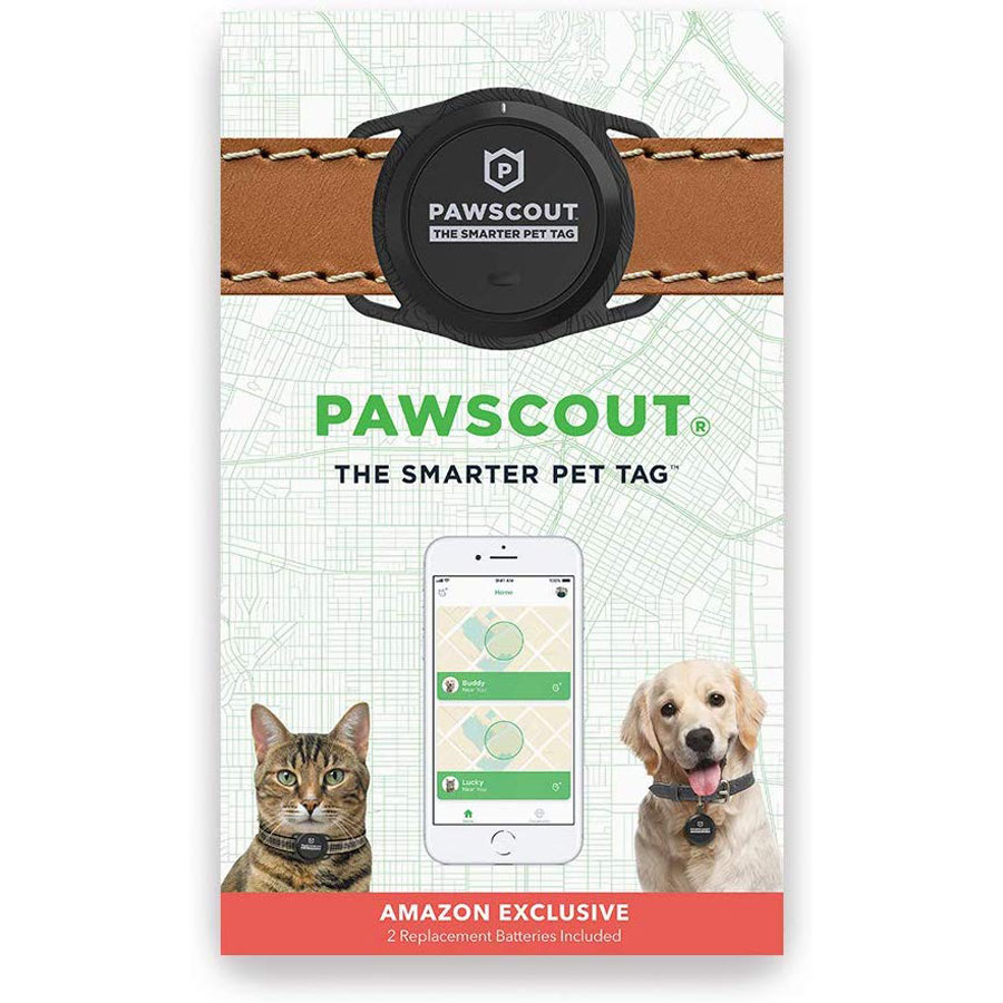 Pawscout Smarter Walk Tracker Dog Tag