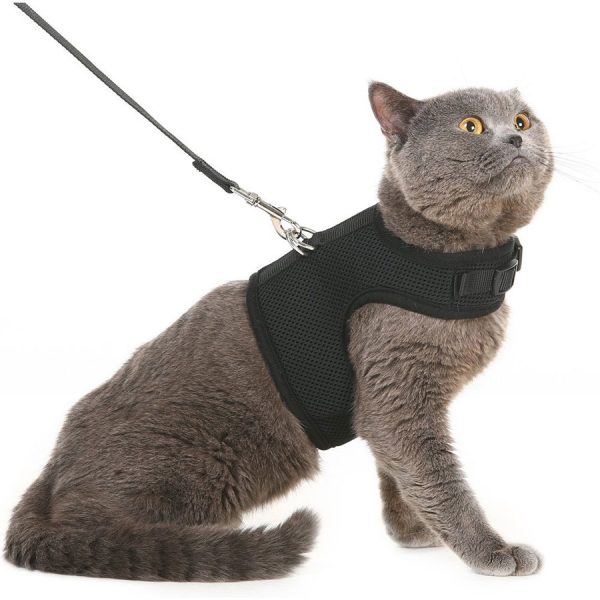 Pupteck Adjustable Escape-Proof Cat Harness