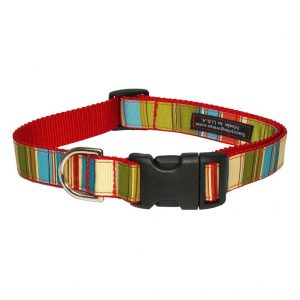 Sassy Dog Wear Adjustable Basic Dog Collar