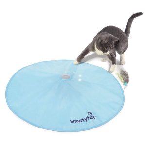 SmartyKat Hot Pursuit Motion Cat Toy